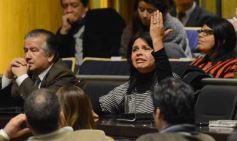 Foto de la galería: Una sesión de Cámara donde la estrella fue la cultura
