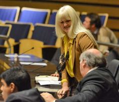 Foto de la galería: Diputados pidieron informes sobre el estado de los puentes