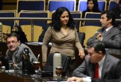 Foto de la galería: Diputados pidieron informes sobre el estado de los puentes