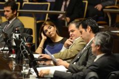 Foto de la galería: Diputados pidieron informes sobre el estado de los puentes