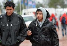 Foto de la galería: Abrió Inta Expone en Posadas