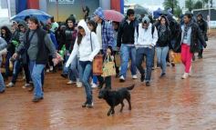 Foto de la galería: Abrió Inta Expone en Posadas
