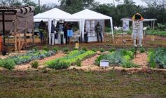 Foto de la galería: Abrió Inta Expone en Posadas