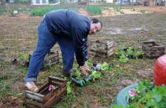 Foto de la galería: Abrió Inta Expone en Posadas