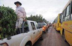 Foto de la galería: Abrió Inta Expone en Posadas