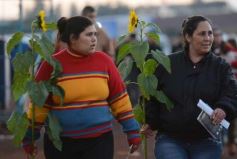 Foto de la galería: Por los rincones del Inta Expone NEA