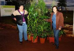 Foto de la galería: Por los rincones del Inta Expone NEA