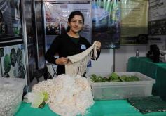 Foto de la galería: Por los rincones del Inta Expone NEA