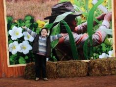 Foto de la galería: Por los rincones del Inta Expone NEA