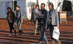 Foto de la galería: Por los rincones del Inta Expone NEA