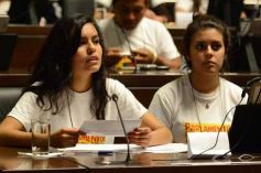 Foto de la galería: Dos días a puro ritmo estudiantil en la Legislatura
