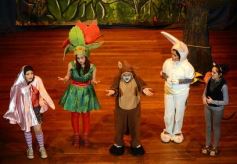 Foto de la galería: Caperucita visitó el Festival Gurises al Teatro