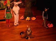 Foto de la galería: Caperucita visitó el Festival Gurises al Teatro