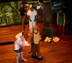 Foto de la galería: Caperucita visitó el Festival Gurises al Teatro