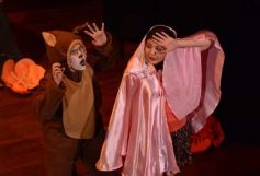 Foto de la galería: Caperucita visitó el Festival Gurises al Teatro