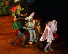 Foto de la galería: Caperucita visitó el Festival Gurises al Teatro