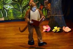 Foto de la galería: Caperucita visitó el Festival Gurises al Teatro