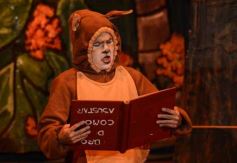 Foto de la galería: Caperucita visitó el Festival Gurises al Teatro