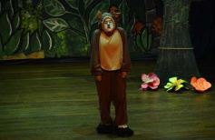 Foto de la galería: Caperucita visitó el Festival Gurises al Teatro