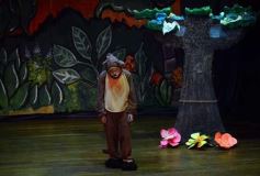 Foto de la galería: Caperucita visitó el Festival Gurises al Teatro