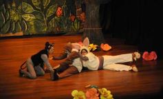 Foto de la galería: Caperucita visitó el Festival Gurises al Teatro