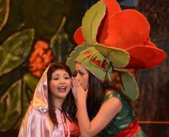 Foto de la galería: Caperucita visitó el Festival Gurises al Teatro