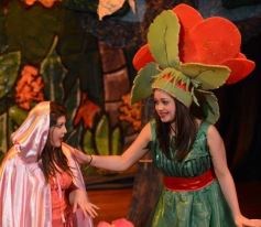 Foto de la galería: Caperucita visitó el Festival Gurises al Teatro