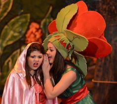 Foto de la galería: Caperucita visitó el Festival Gurises al Teatro