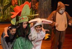 Foto de la galería: Caperucita visitó el Festival Gurises al Teatro