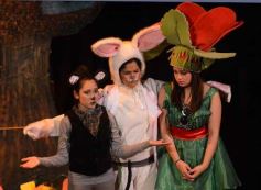 Foto de la galería: Caperucita visitó el Festival Gurises al Teatro