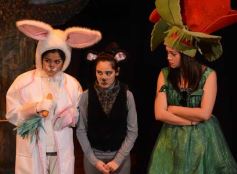 Foto de la galería: Caperucita visitó el Festival Gurises al Teatro