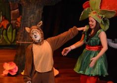 Foto de la galería: Caperucita visitó el Festival Gurises al Teatro