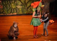 Foto de la galería: Caperucita visitó el Festival Gurises al Teatro