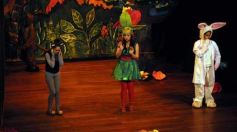 Foto de la galería: Caperucita visitó el Festival Gurises al Teatro