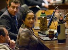 Foto de la galería: Aprobaron el certificado de “libre deuda alimentaria”