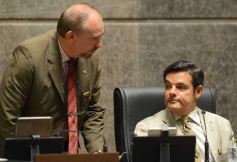 Foto de la galería: Diputados propone incorporar la evidencia digital como prueba de violencia