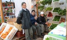 Foto de la galería: Productores del Mercado Concentrador expusieron frente a la Legislatura