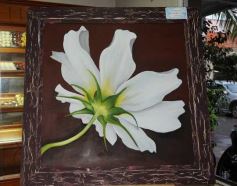 Foto de la galería: Tahona cumplió 25 años y sorteó premios para clientes