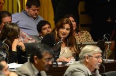 Foto de la galería: Diputados instituye el Día del Combate de Mbororé