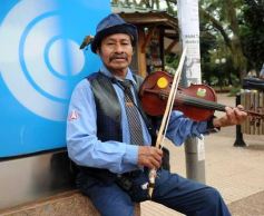 Foto de la galería: Posadas y sus gente