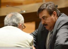 Foto de la galería: Diputados creó un programa de ordenamiento productivo