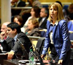 Foto de la galería: Diputados creó un programa de ordenamiento productivo