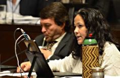 Foto de la galería: Diputados creó un programa de ordenamiento productivo