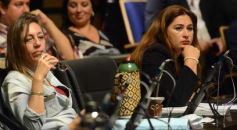 Foto de la galería: Diputados creó un programa de ordenamiento productivo