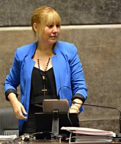 Foto de la galería: Aprobaron el presupuesto 2015