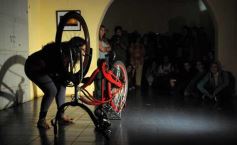 Foto de la galería: Muestra de Fotos de Camila Victoria Polo