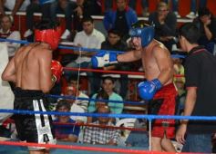 Foto de la galería: Wally Mareco sostuvo su invicto en el ring