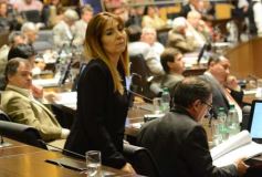 Foto de la galería: Diputados sancionó ley de fomento a la producción agroecológica