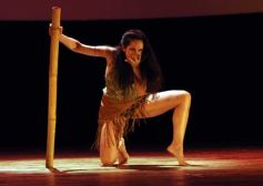 Foto de la galería: Guaynamérica en el Montoya