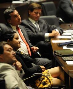 Foto de la galería: En una larga jornada, la Legislatura cerró su ciclo 2014